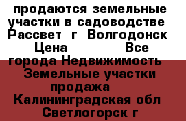 продаются земельные участки в садоводстве “Рассвет“ г. Волгодонск › Цена ­ 80 000 - Все города Недвижимость » Земельные участки продажа   . Калининградская обл.,Светлогорск г.